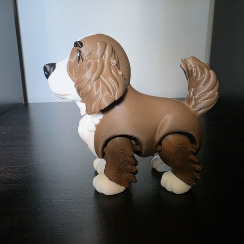 Flexi Cocker Spaniel