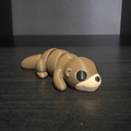 Baby Otter
