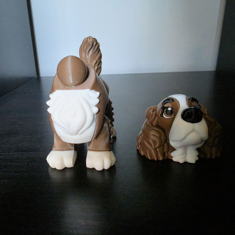 Flexi Cocker Spaniel