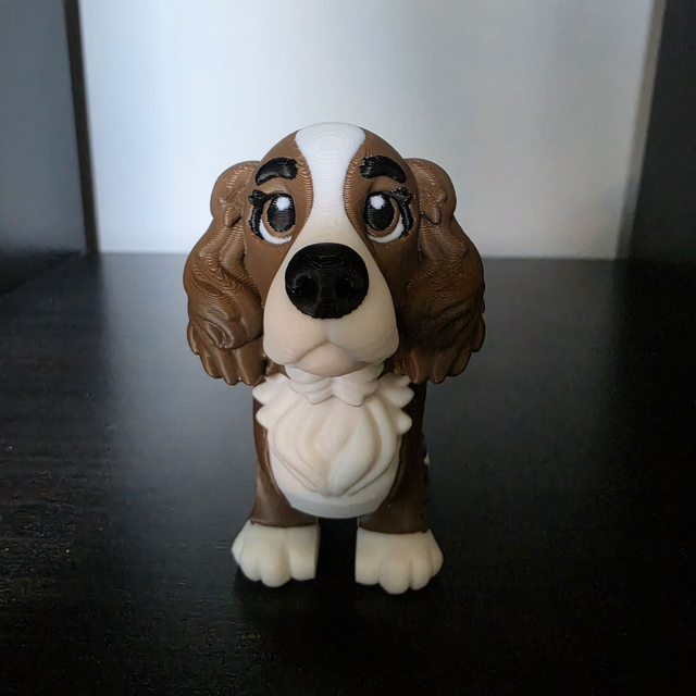 Flexi Cocker Spaniel